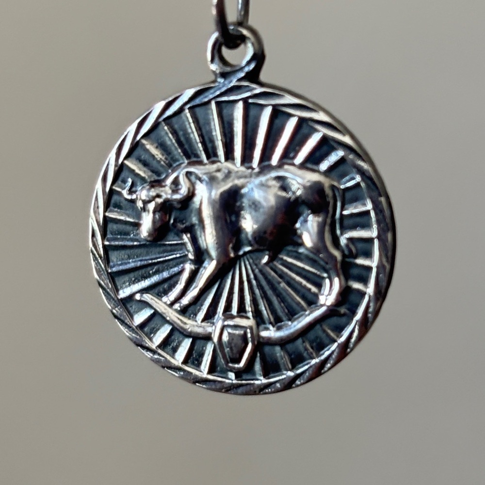 Silver Bull Pendant only